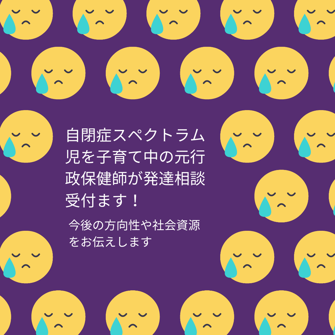 今後の見通しを考える発達相談60分